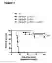 Fig. 28 - Methods of treatment with antagonists against PD-1 and PD-L1 in combination with radiation therapy