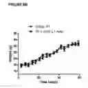 Fig. 30 - Methods of treatment with antagonists against PD-1 and PD-L1 in combination with radiation therapy