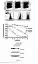 Fig. 02 - METHODS AND PHARMACEUTICAL COMPOSITIONS (CTPS 1 INHIBITORS, E.G. NORLEUCINE) FOR INHIBITING T CELL PROLIFERATION IN A SUBJECT IN NEED THEREOF