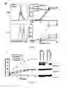 Fig. 03 - METHODS AND PHARMACEUTICAL COMPOSITIONS (CTPS 1 INHIBITORS, E.G. NORLEUCINE) FOR INHIBITING T CELL PROLIFERATION IN A SUBJECT IN NEED THEREOF