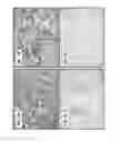 Fig. 02 - B7-H4 EXPRESSION ON TUMOR VASCULATURE