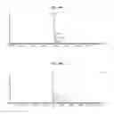 Fig. 29 - Process for purifying recombinant circumsporozoite protein