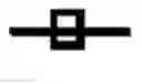 Fig. 06 - Bacterially-derived, intact minicells that encompass plasmid-free functional nucleic acid for in vivo delivery to mammalian cells