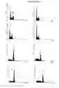 Fig. 07 - Bacterially-derived, intact minicells that encompass plasmid-free functional nucleic acid for in vivo delivery to mammalian cells