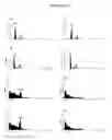 Fig. 08 - Bacterially-derived, intact minicells that encompass plasmid-free functional nucleic acid for in vivo delivery to mammalian cells