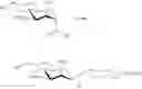 Fig. 23 - Methods for the development of vaccines based on oligosaccharide-oligonucleotide conjugates
