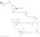 Fig. 102 - Carbohydrate conjugates as delivery agents for oligonucleotides
