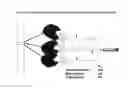 Fig. 16 - Carbohydrate conjugates as delivery agents for oligonucleotides
