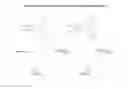 Fig. 26 - Carbohydrate conjugates as delivery agents for oligonucleotides