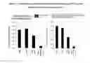 Fig. 27 - Carbohydrate conjugates as delivery agents for oligonucleotides