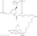 Fig. 61 - Carbohydrate conjugates as delivery agents for oligonucleotides