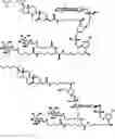 Fig. 76 - Carbohydrate conjugates as delivery agents for oligonucleotides