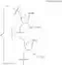 Fig. 81 - Carbohydrate conjugates as delivery agents for oligonucleotides