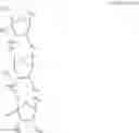 Fig. 87 - Carbohydrate conjugates as delivery agents for oligonucleotides