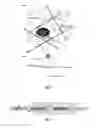 Fig. 02 - NOVEL METHODS OF USE OF BIOMIMETIC PROTEOGLYCANS