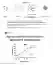Fig. 04 - NANODELIVERY DEVICE FOR THERAPEUTIC LOADING OF CIRCULATING ERYTHROCYTES