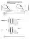 Fig. 11 - NANODELIVERY DEVICE FOR THERAPEUTIC LOADING OF CIRCULATING ERYTHROCYTES