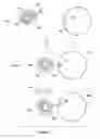 Fig. 12 - NANODELIVERY DEVICE FOR THERAPEUTIC LOADING OF CIRCULATING ERYTHROCYTES