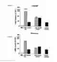 Fig. 03 - Gene therapy for neurodegenerative disorders
