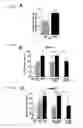 Fig. 12 - Gene therapy for neurodegenerative disorders