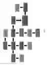 Fig. 02 - Systems and methods for preclinical models of metastases