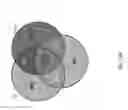 Fig. 14 - Systems and methods for preclinical models of metastases