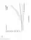 Fig. 05 - Functionalization of and use of functionalized second harmonic generating nanoprobes