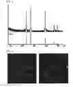 Fig. 03 - Metal Oxide Nanoparticle-Based Magnetic Resonance Imaging Contrast Agent with a Central Cavity