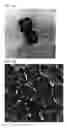 Fig. 07 - Metal Oxide Nanoparticle-Based Magnetic Resonance Imaging Contrast Agent with a Central Cavity
