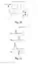 Fig. 16 - Fixture sanitizer