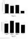 Fig. 08 - Microbicidal composite material