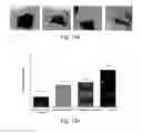 Fig. 16 - Microbicidal composite material