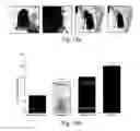 Fig. 17 - Microbicidal composite material