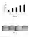 Fig. 03 - Mesenchymal Stem Cell-Hydrogel-Biodegradable or Mesenchymal Stem Cell-Hydrogel-Undegradable Support Composition for Skin Regeneration or Wound Healing