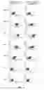 Fig. 06 - Mesenchymal Stem Cell-Hydrogel-Biodegradable or Mesenchymal Stem Cell-Hydrogel-Undegradable Support Composition for Skin Regeneration or Wound Healing