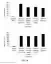 Fig. 07 - Mesenchymal Stem Cell-Hydrogel-Biodegradable or Mesenchymal Stem Cell-Hydrogel-Undegradable Support Composition for Skin Regeneration or Wound Healing