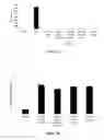 Fig. 09 - Mesenchymal Stem Cell-Hydrogel-Biodegradable or Mesenchymal Stem Cell-Hydrogel-Undegradable Support Composition for Skin Regeneration or Wound Healing