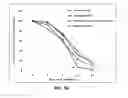 Fig. 10 - Mesenchymal Stem Cell-Hydrogel-Biodegradable or Mesenchymal Stem Cell-Hydrogel-Undegradable Support Composition for Skin Regeneration or Wound Healing