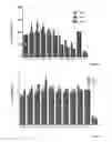 Fig. 03 - Polymer based hydrogel