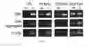 Fig. 06 - Decellularized adipose tissue