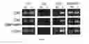 Fig. 07 - Decellularized adipose tissue