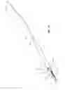 Fig. 11 - Solid-body catheter including lateral distal openings