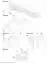 Fig. 06 - INJECTION DEVICE