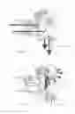 Fig. 05 - Respiratory valve apparatus