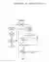 Fig. 02 - A METHOD AND APPARATUS FOR MEDIATING PROPRIOCEPTIVE SKIN AND BODY SENSORS, VISION, VESTIBULAR AND SOMATO-SENSATION ACTING IN COMBINATION WITH BRAIN FUNCTION OR NEUROSENSORY-MOTOR SYSTEM FUNCTION