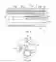 Fig. 03 - Unidirectional catheter control handle with tensioning control