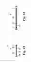 Fig. 15 - Devices and Systems for Access and Navigation of Cerebrospinal Fluid Space