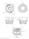 Fig. 05 - Composition delivery device and methods of use