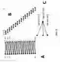 Fig. 08 - Method and system for physiological target localization from macroelectrode recordings and monitoring spinal cord function