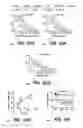 Fig. 71 - SYSTEM AND METHOD FOR OPTOGENETIC THERAPY